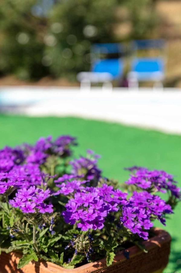Bed & Breakfast La Meriggia Senigallia *
